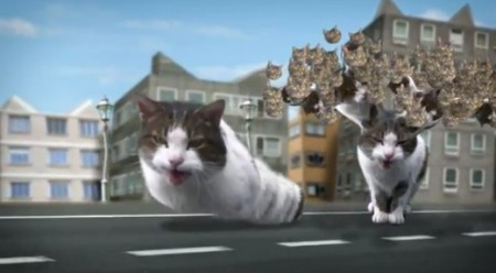 CyriakKitty