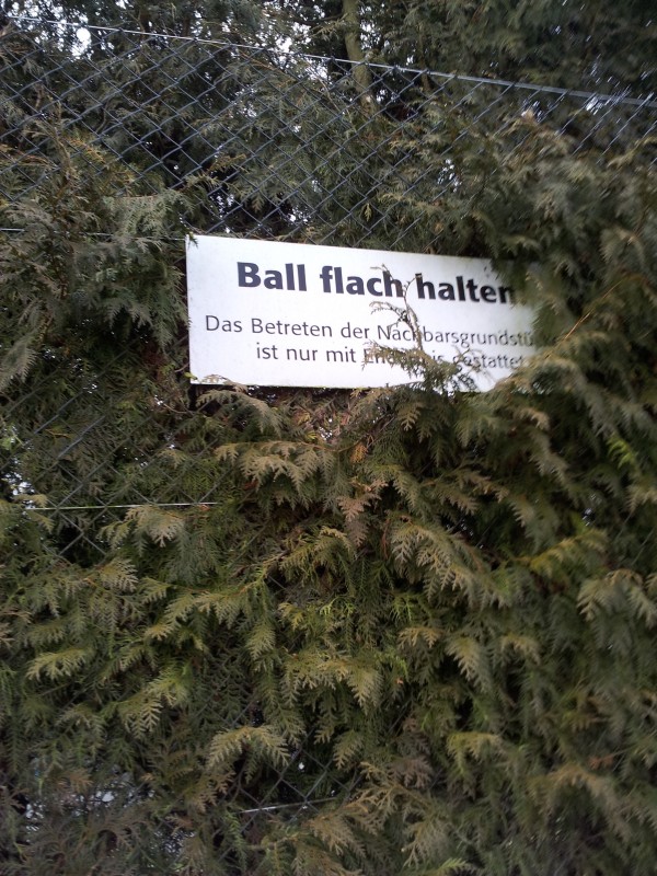 Den Ball flach halten