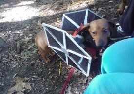 dogtiefightercostume