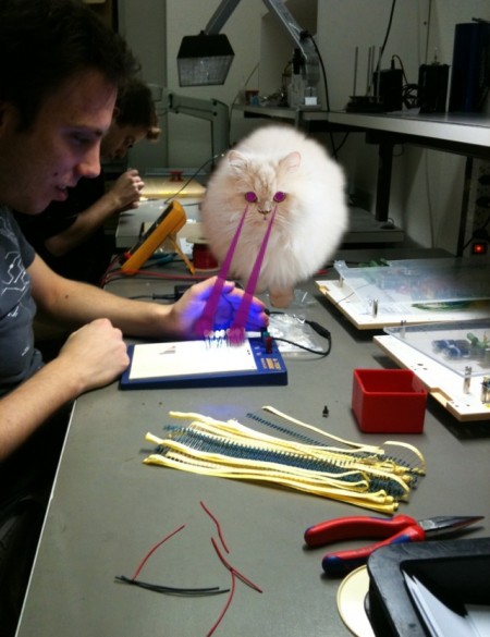 EGONCat1