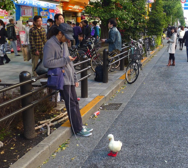 Ente 2
