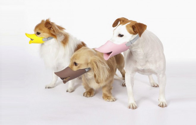 Entenmasken für Hunde