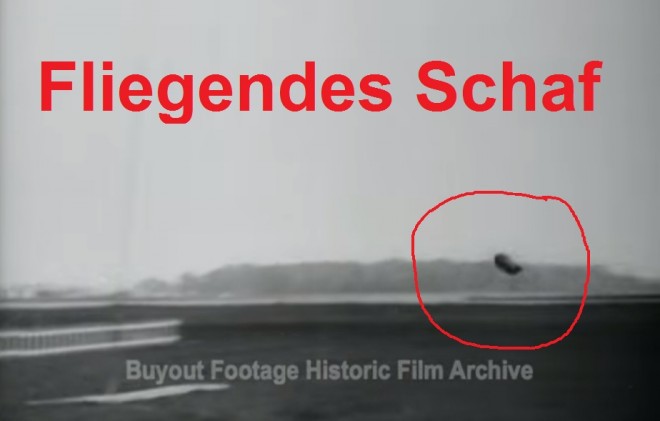 FliegendesSchaf