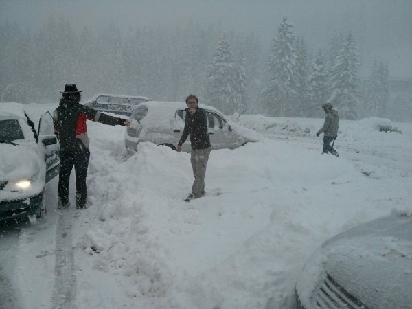 FuckingSchneee
