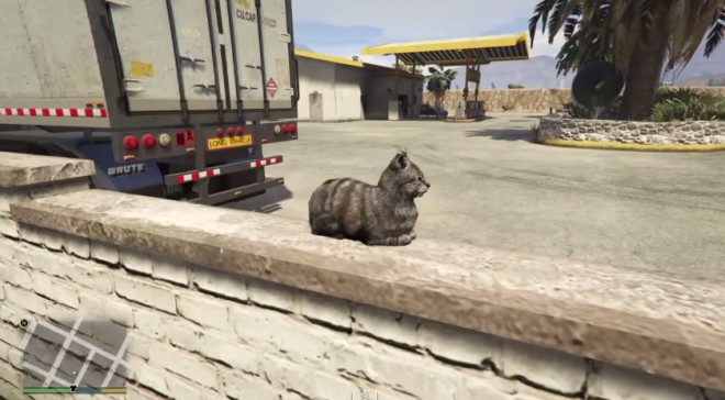 GTAVKatze