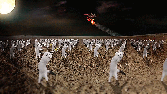 KatzenKnightsGif