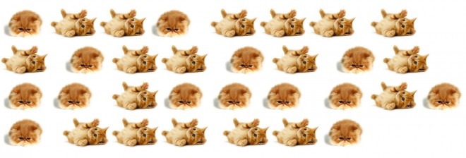 MeowrseCode