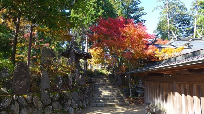 Mitake Herbst