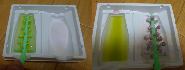 OwnCandy3_5