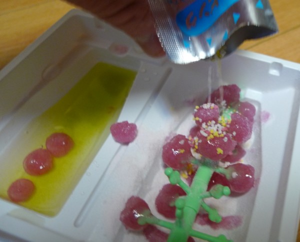 OwnCandy3_6