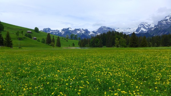 Schwendisee
