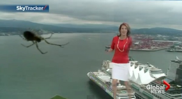 SpinneVSMeteo
