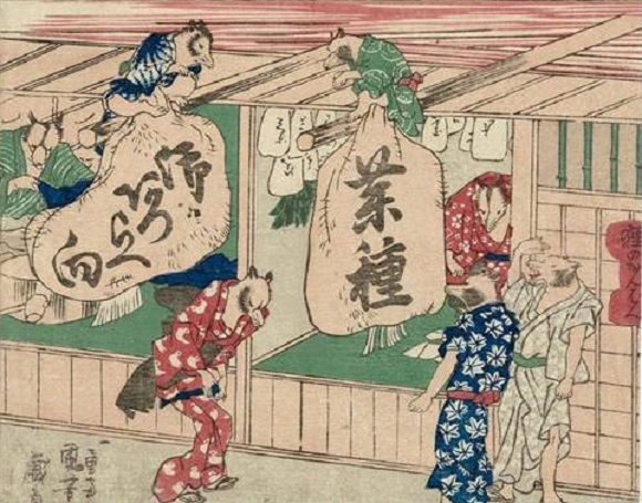 TanukiHoden5
