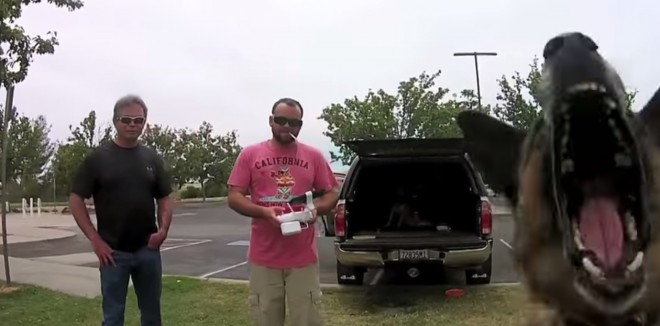 Tier vs Quadcopter