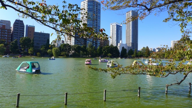 Tokyo Schwan-Pedalos