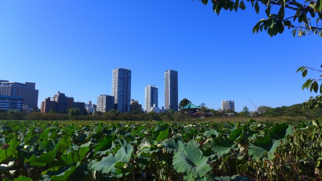 Tokyo Ueno