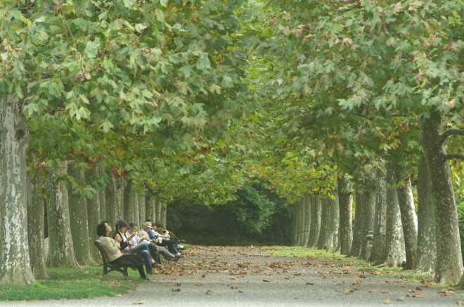 Lesen im Park