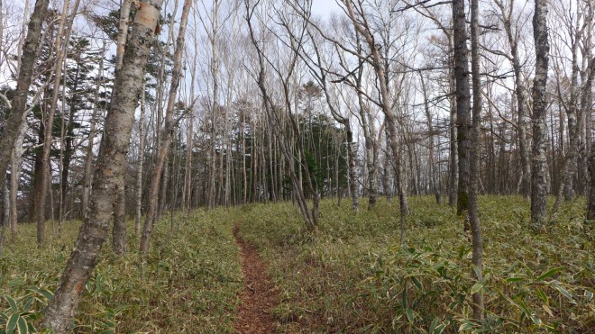 Wanderung Chuzenji