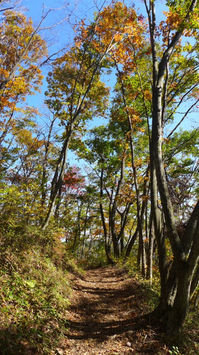 Weg in Mitake