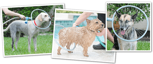 WoofWasher