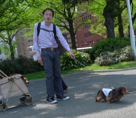 dogs7