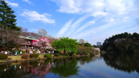 hanami2