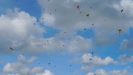 kite