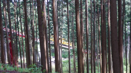 mitake2