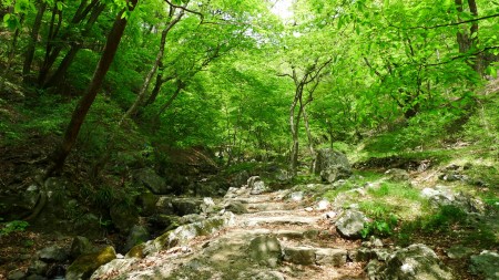 mitake4