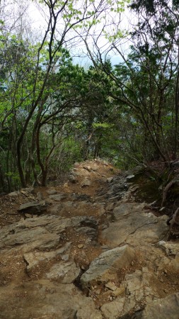 mitake6
