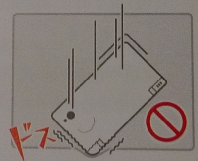 nds1
