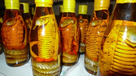 snakewine snakewine