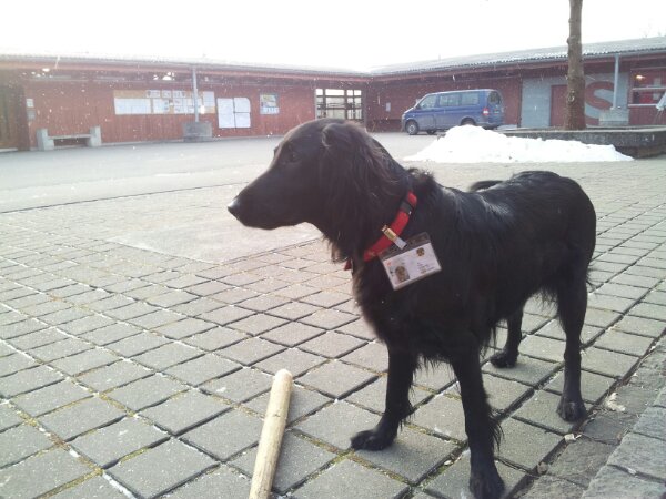 20130222_083653.jpg image