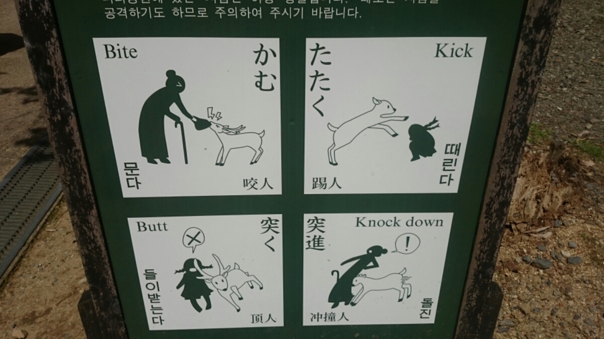 DSC_0982.JPG image